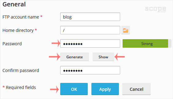 plesk-ftp-password-change-options.gif